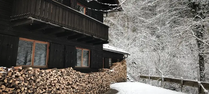 Foto 2 von Weihnachtsfeier im Wald
