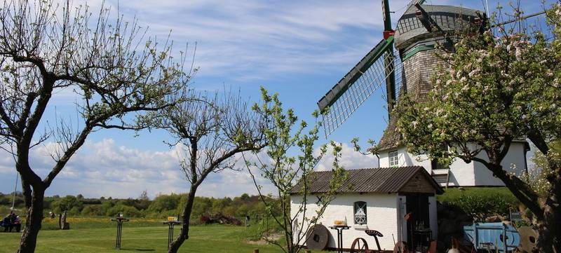 Foto 2 von Mühle Munkbrarup