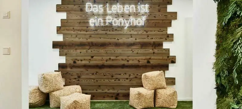 Foto 4 von Ponyhof Deluxe