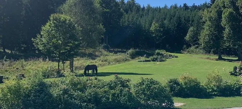 Foto 23 von Romantische Tage zu Zweit