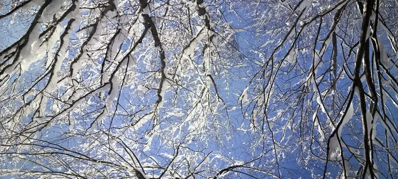 Foto 5 von Weihnachtsgrillkurs im Wald