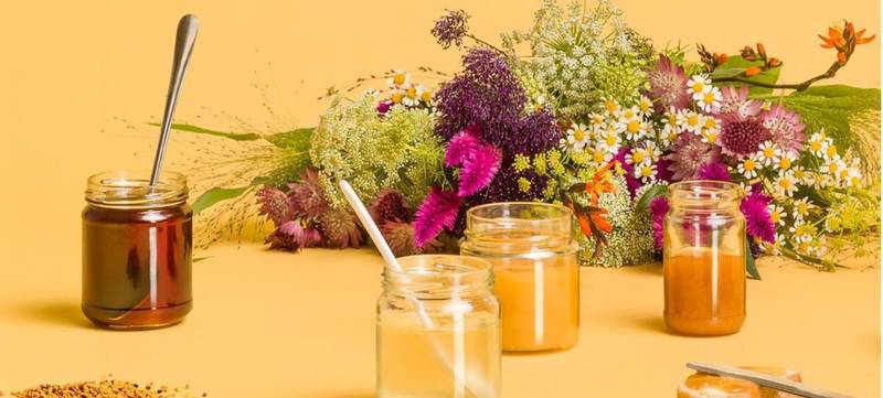Foto 2 von Online Honig-Tasting