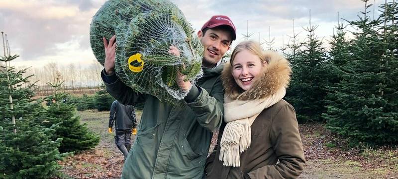 Foto 1 von Weihnachtsbaumschlagen