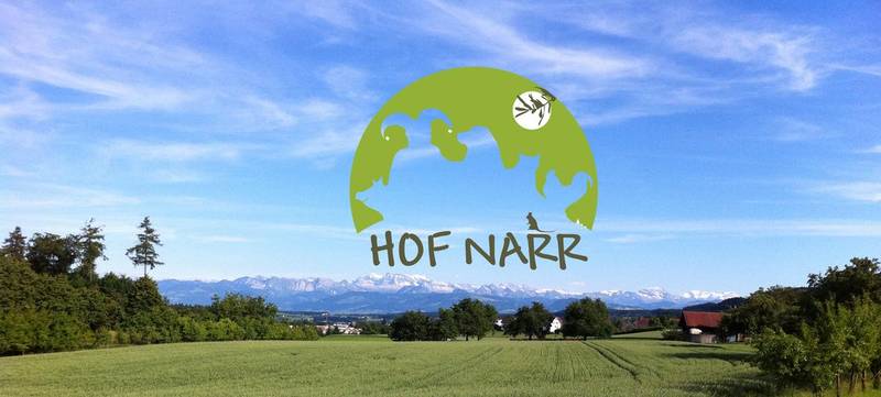 Foto von Hof Narr
