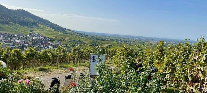 Foto 5 von SEGWAY "Tour de Reben" ...nur in/bei Baden-Baden