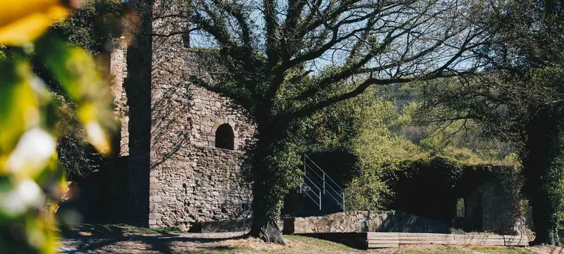 Foto 1 von Fackelwanderung zur BurgRuine