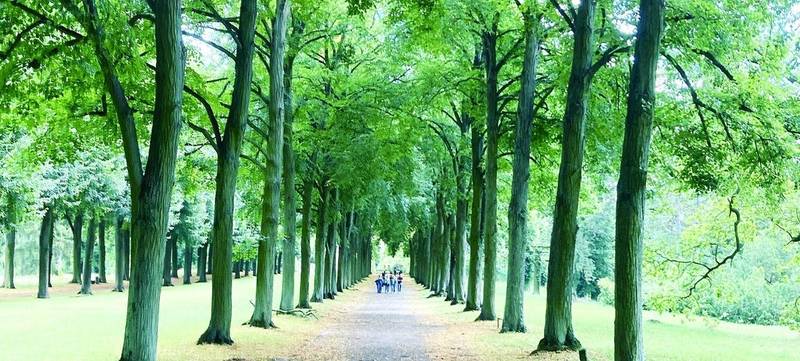 Foto 3 von AUF SCHATZRUNDGANG DURCH POTSDAM - prunkvolles Geocaching Team Erlebnis!