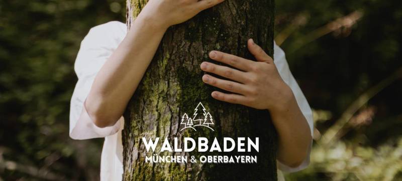 Foto 2 von Waldbaden München - deine Auszeit im Wald