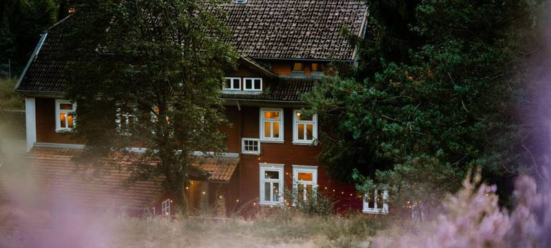 Foto 2 von Drei auf einen Streich – Erlebniswanderung & Teambuilding im Harz